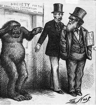 Darwin i Goryl
