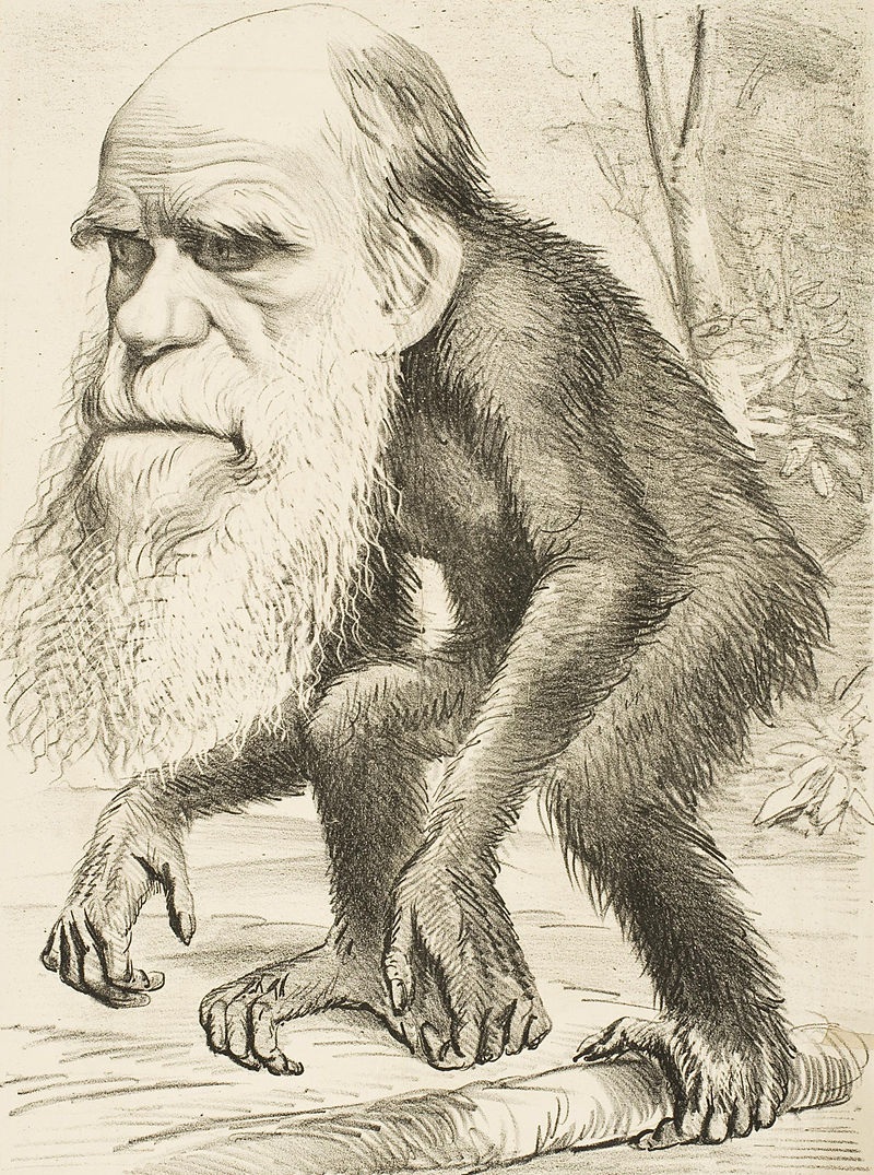 Karol Darwin