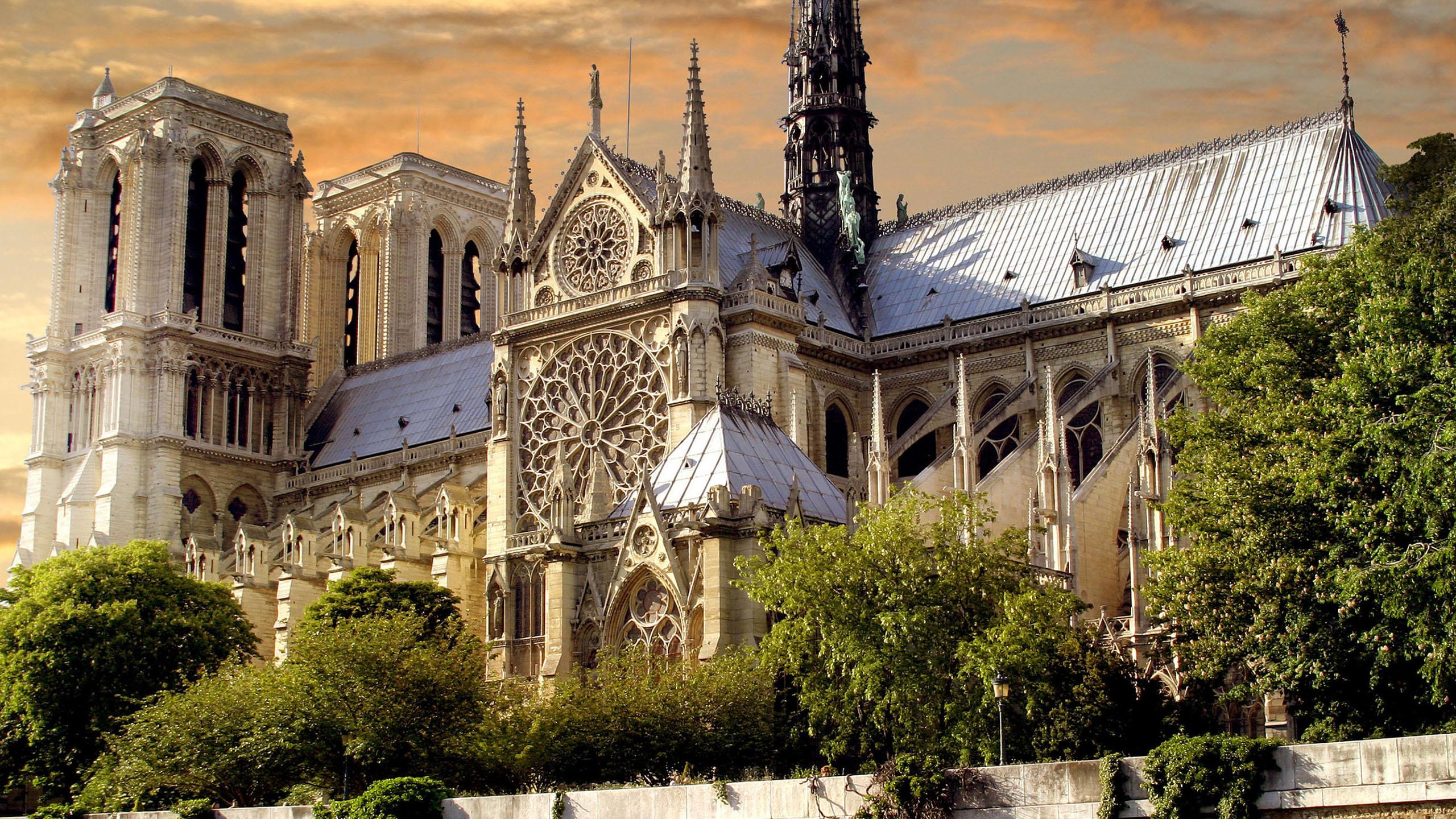 Katedra Notre Dame w Paryu