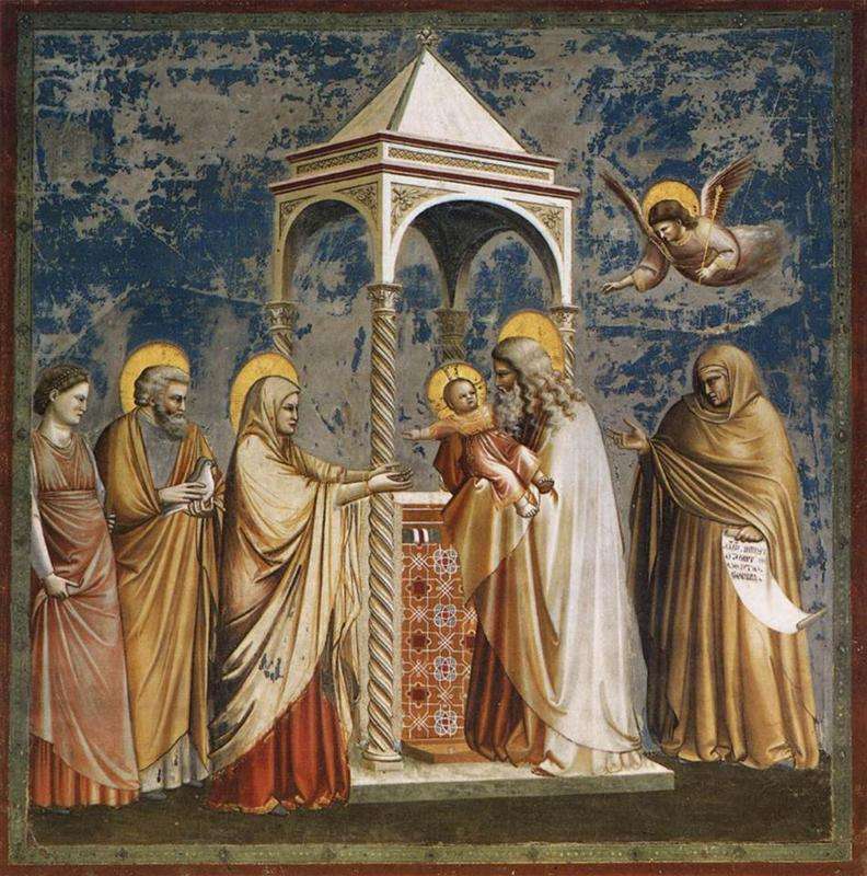 Ofiarowanie Pana Jezusa w wityni. Giotto.